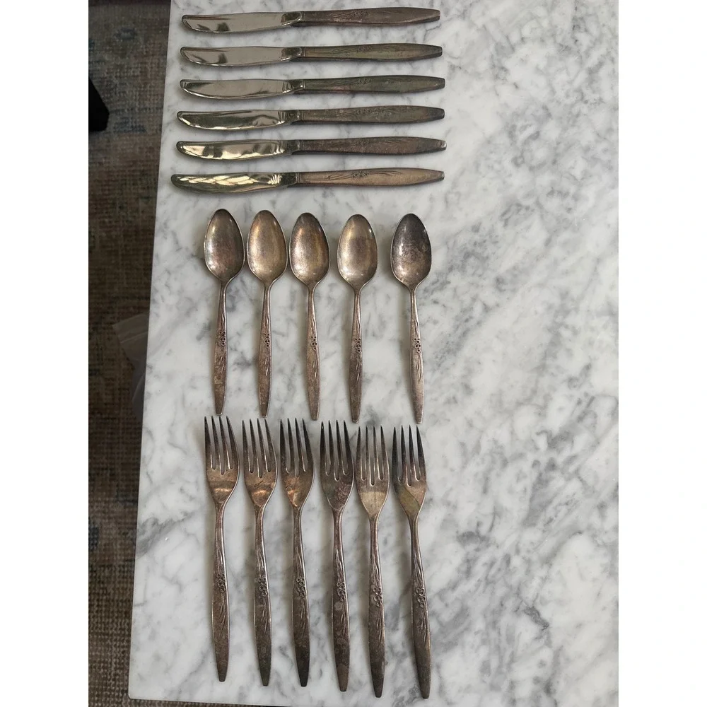Oneida Community Enchantment Gentle Rose Silverplate Flatware 17pc Set 1960